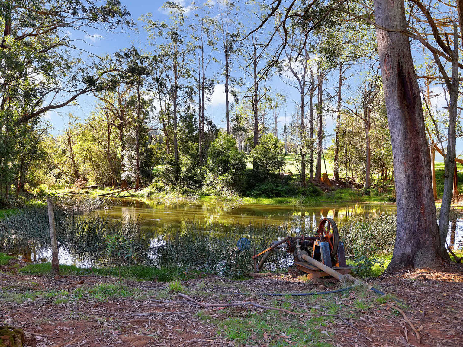 55 Yarrunga Road Wildes Meadow 55 Yarrunga Road Wildes Meadow