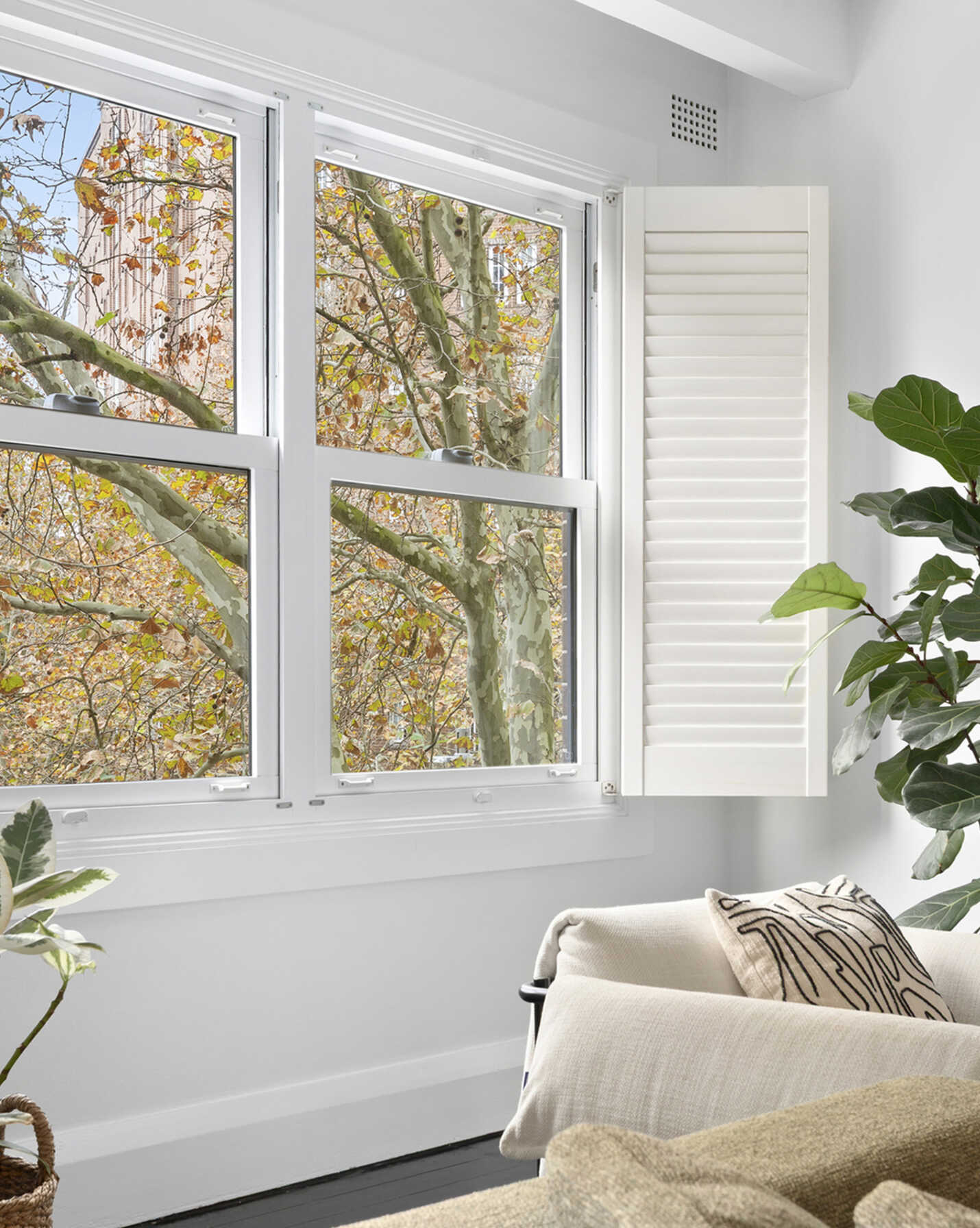 10/123-125 Macleay Street Potts Point, Point - Thumbnail 6