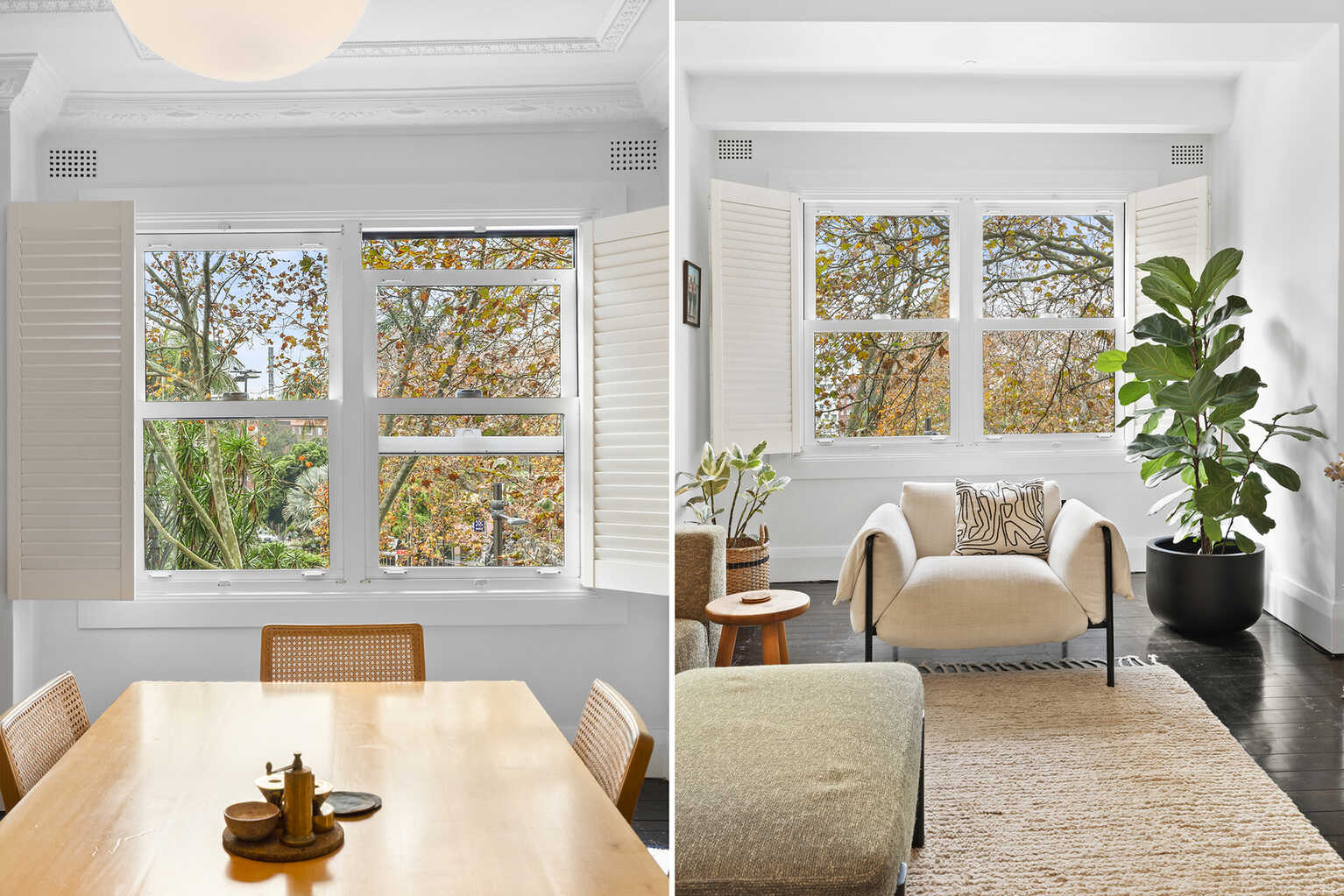 10/123-125 Macleay Street Potts Point