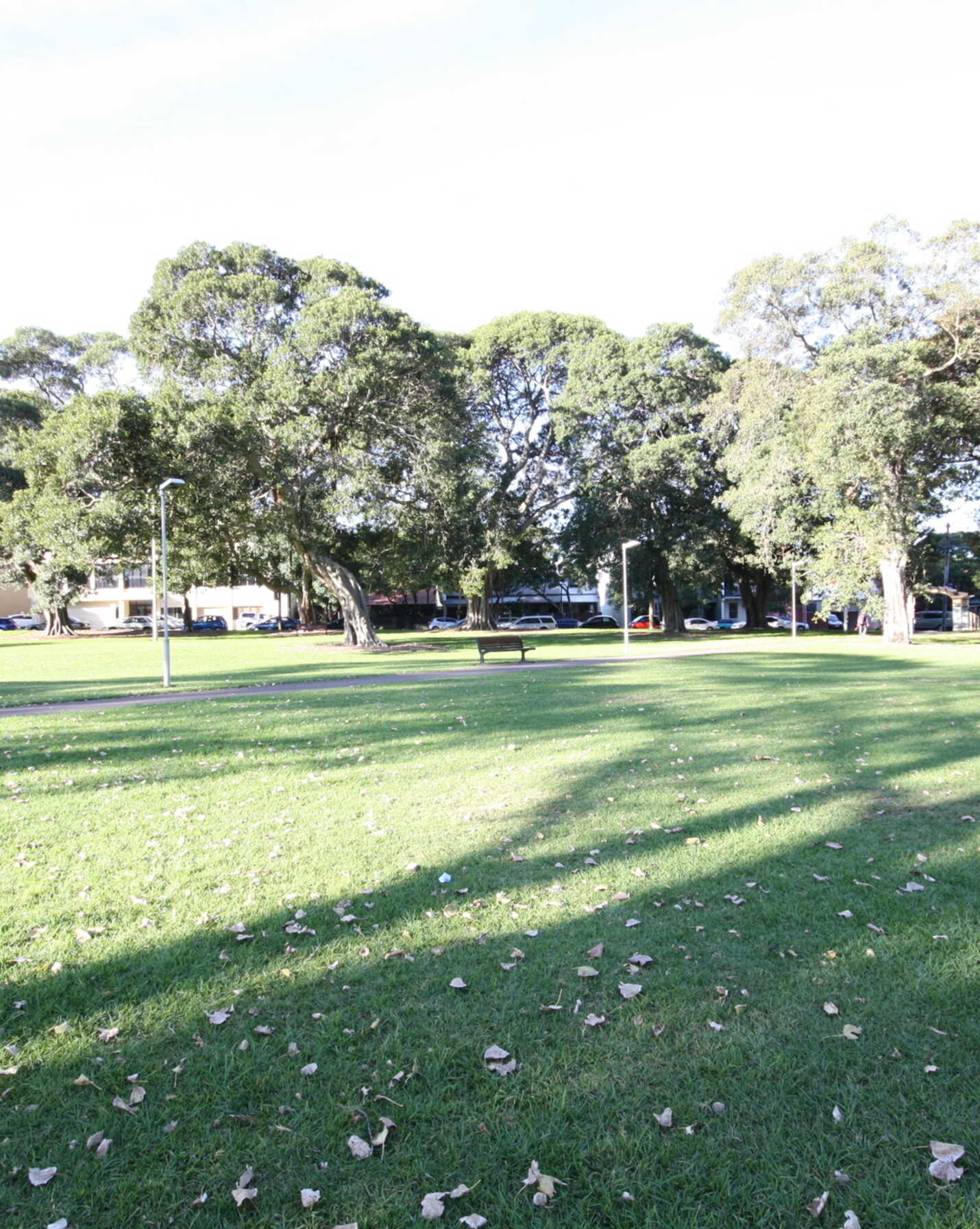 C401/8 Loveridge Street Alexandria, Alexandria - Thumbnail 8