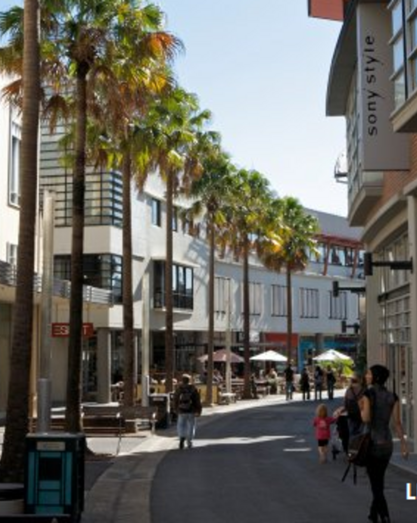 6/57 Regent Street Paddington, Paddington - Thumbnail 6