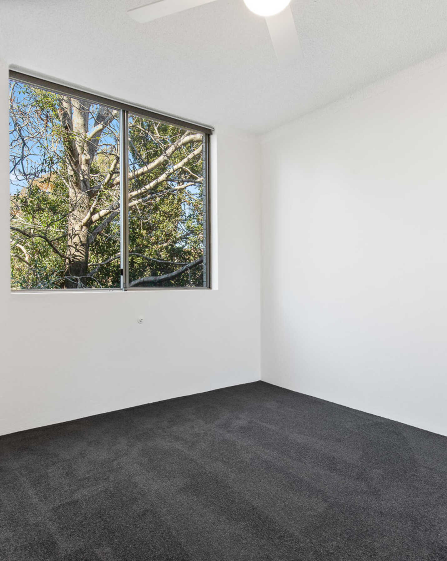 14/10 Leichhardt Street Glebe, Glebe - Thumbnail 3