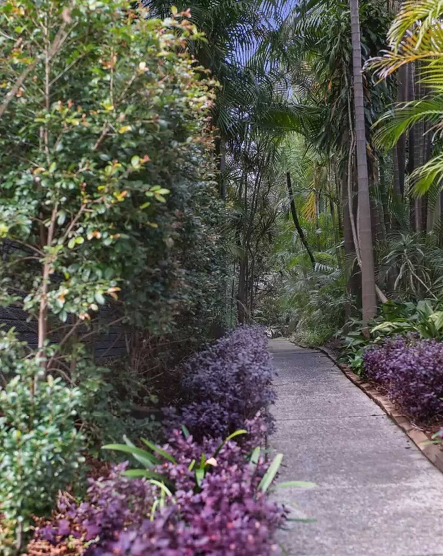 14/10 Leichhardt Street Glebe, Glebe - Thumbnail 6