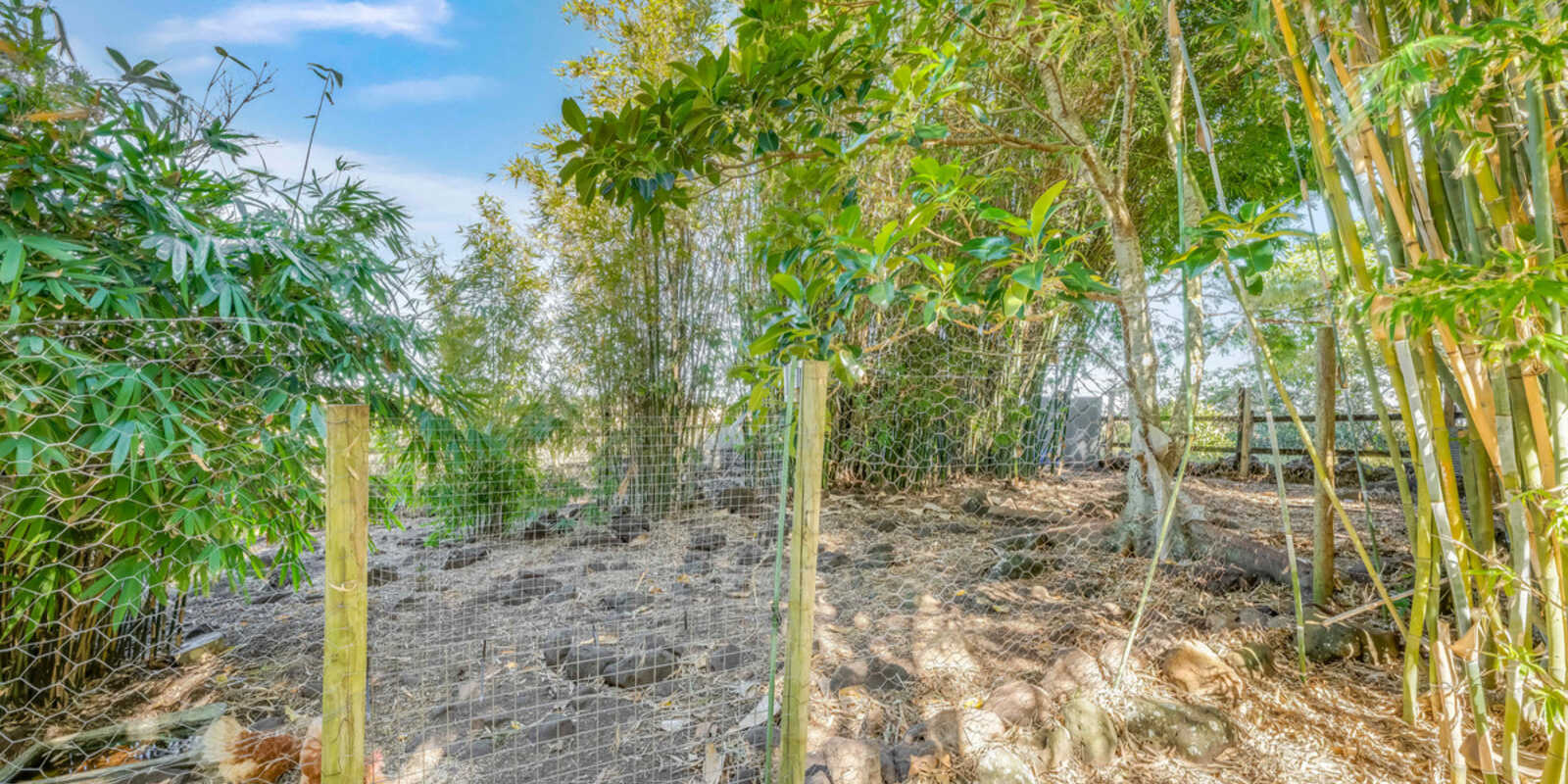 22 Mermaid Drive Innes Park