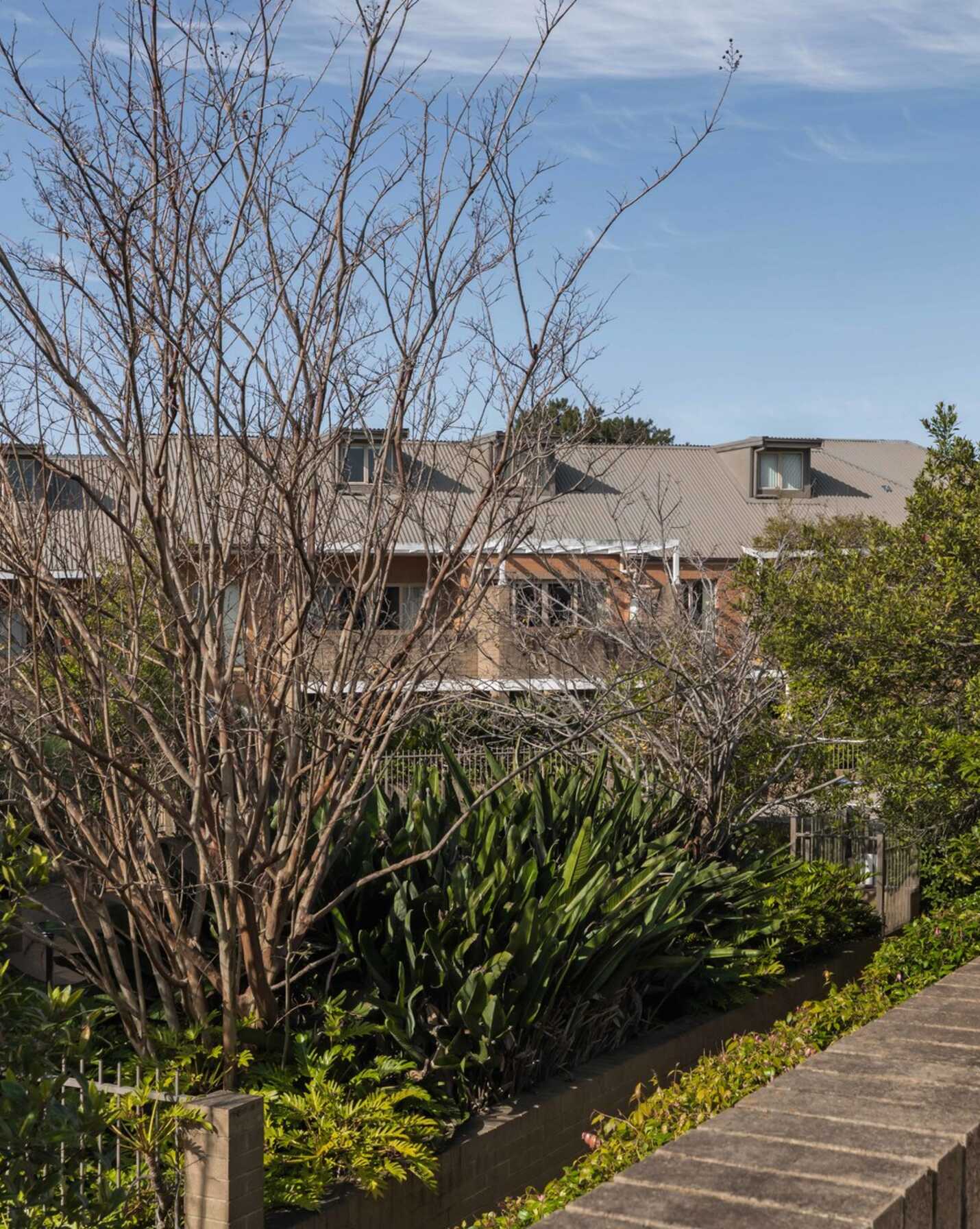 82/115 Constitution Road Dulwich Hill, Hill - Thumbnail 8