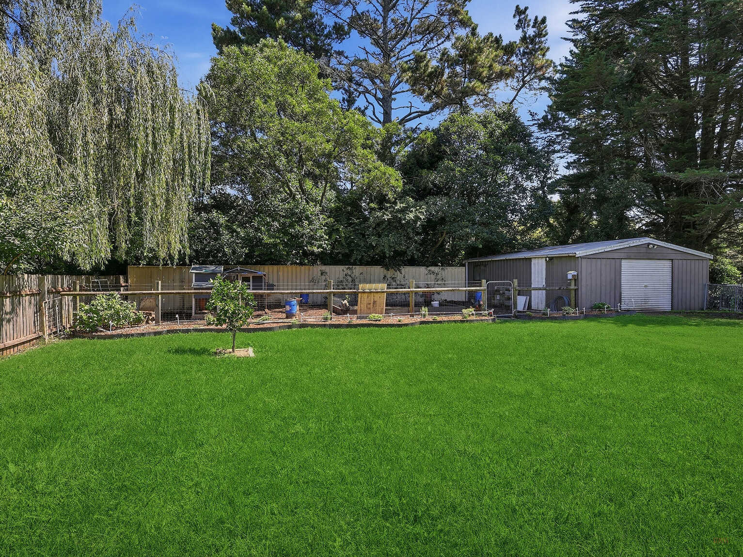 51 Throsby Street Moss Vale 51 Throsby Street Moss Vale