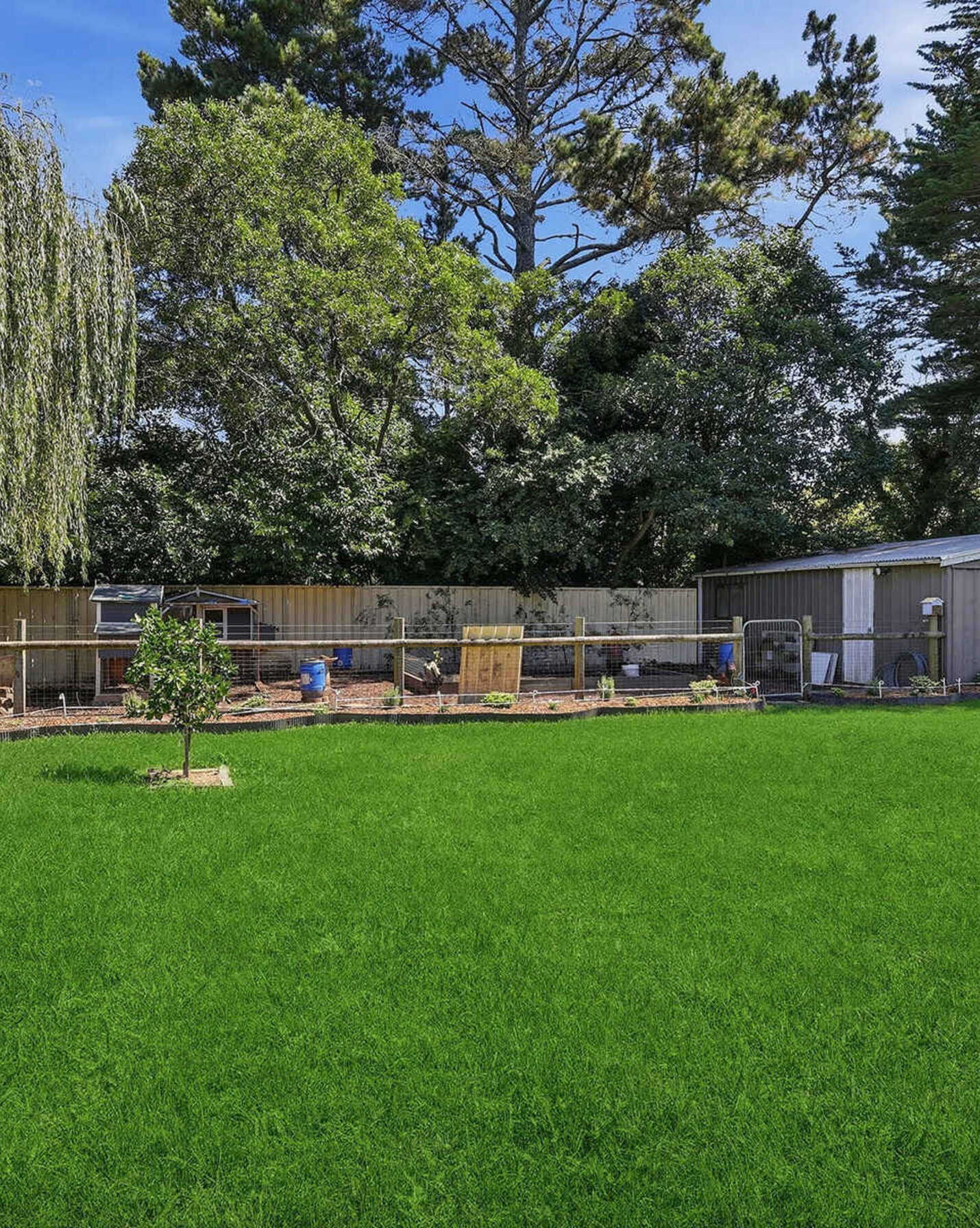 51 Throsby Street Moss Vale, Vale - Thumbnail 2