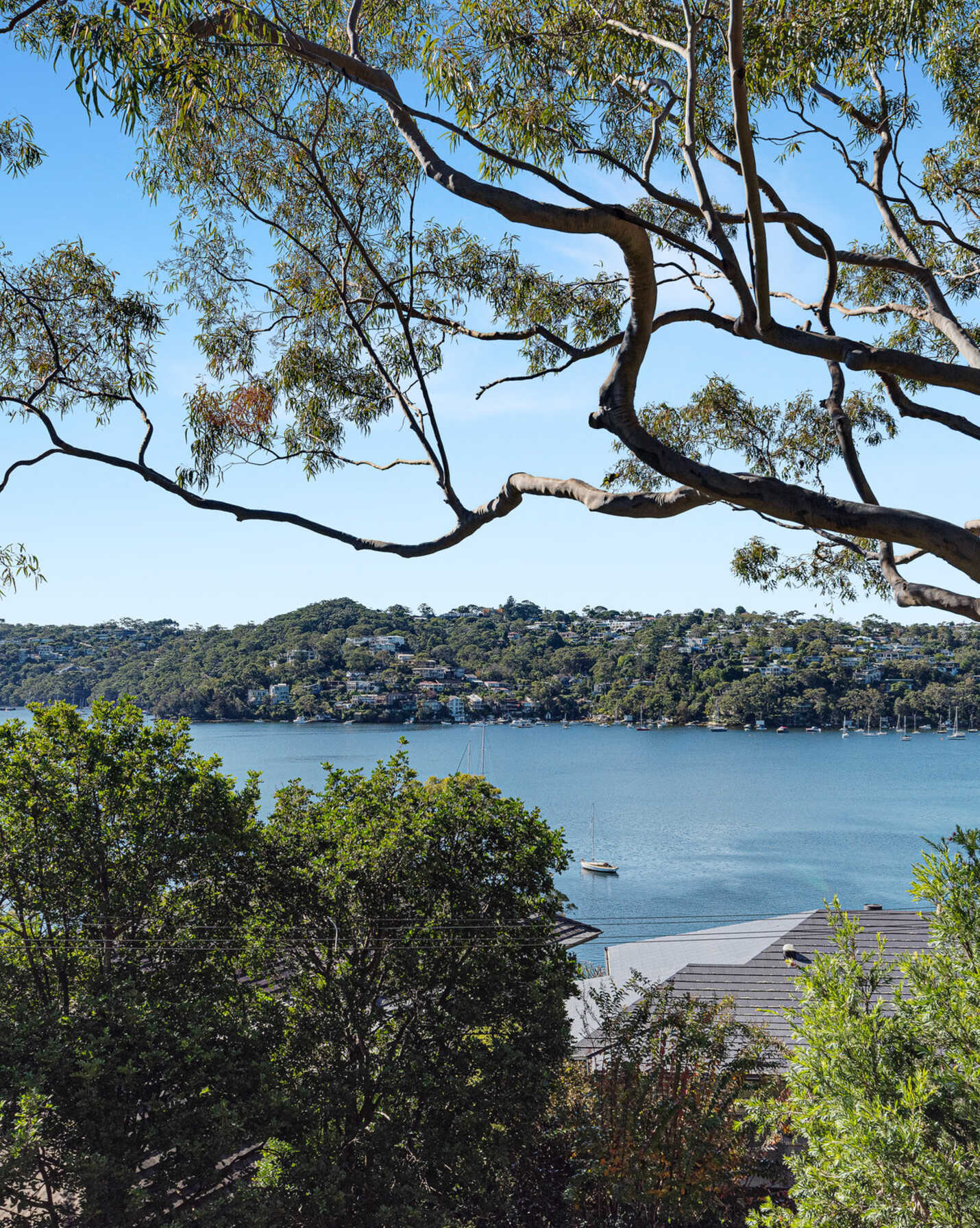 3A Cheyne Walk Castlecrag, Castlecrag - Thumbnail 3