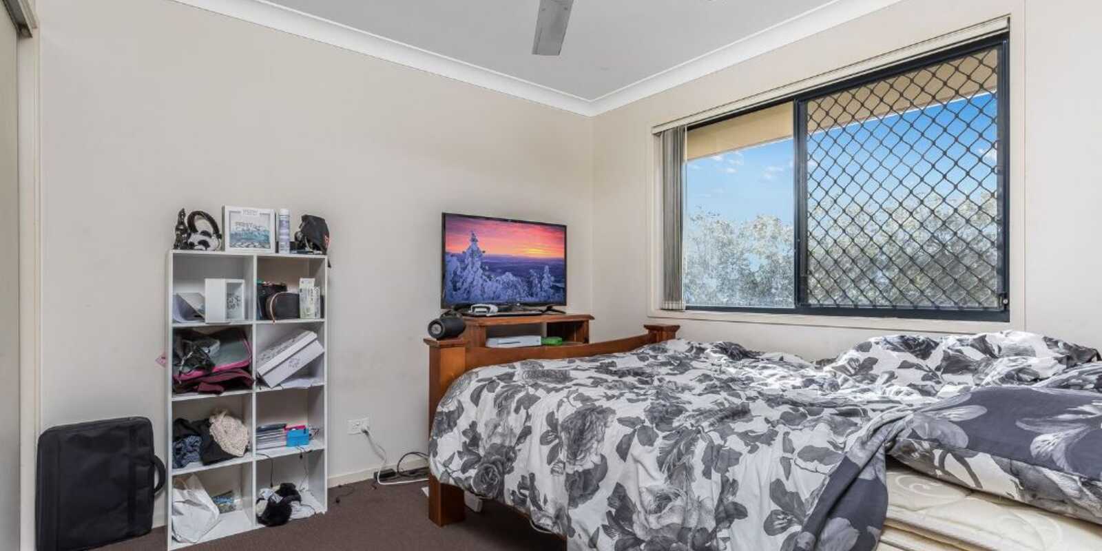 31-33 Daintree Street Bellmere