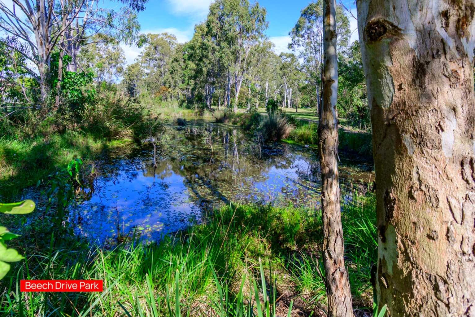 20 Beech Drive Morayfield 20 Beech Drive Morayfield