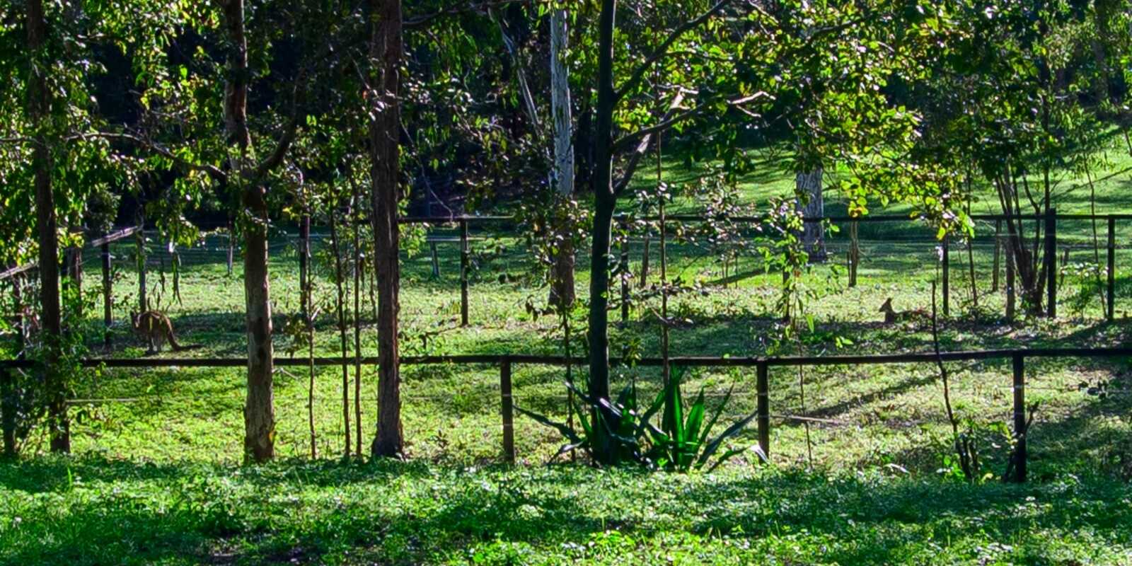 10 Harper Road Bellmere 10 Harper Road Bellmere