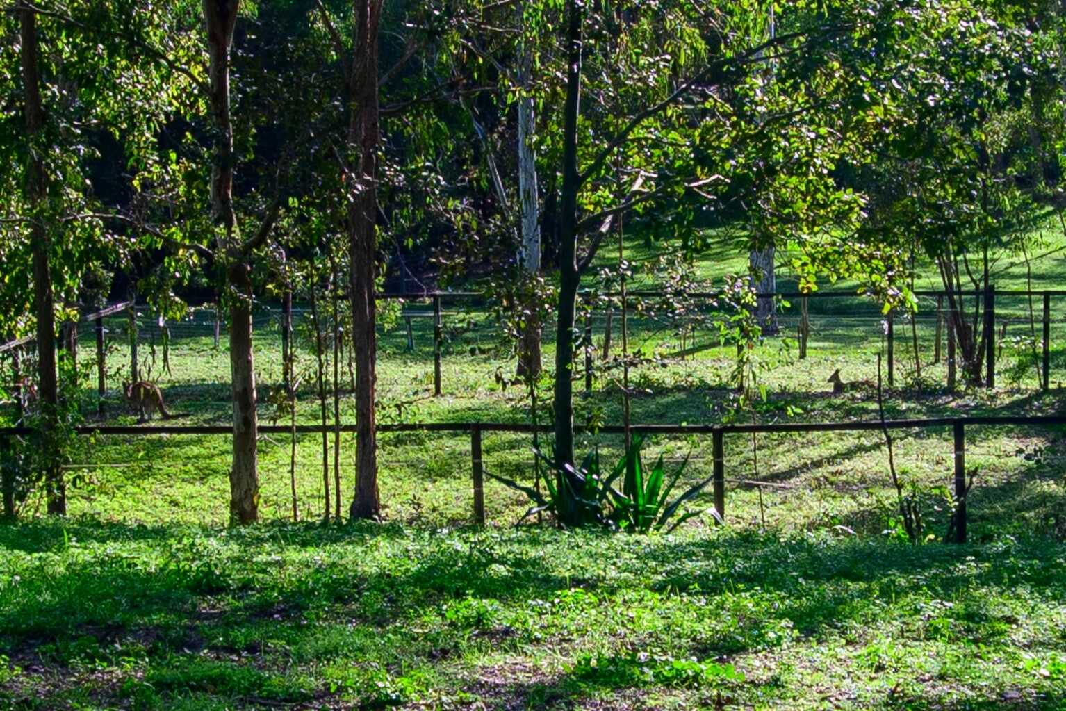 10 Harper Road Bellmere 10 Harper Road Bellmere