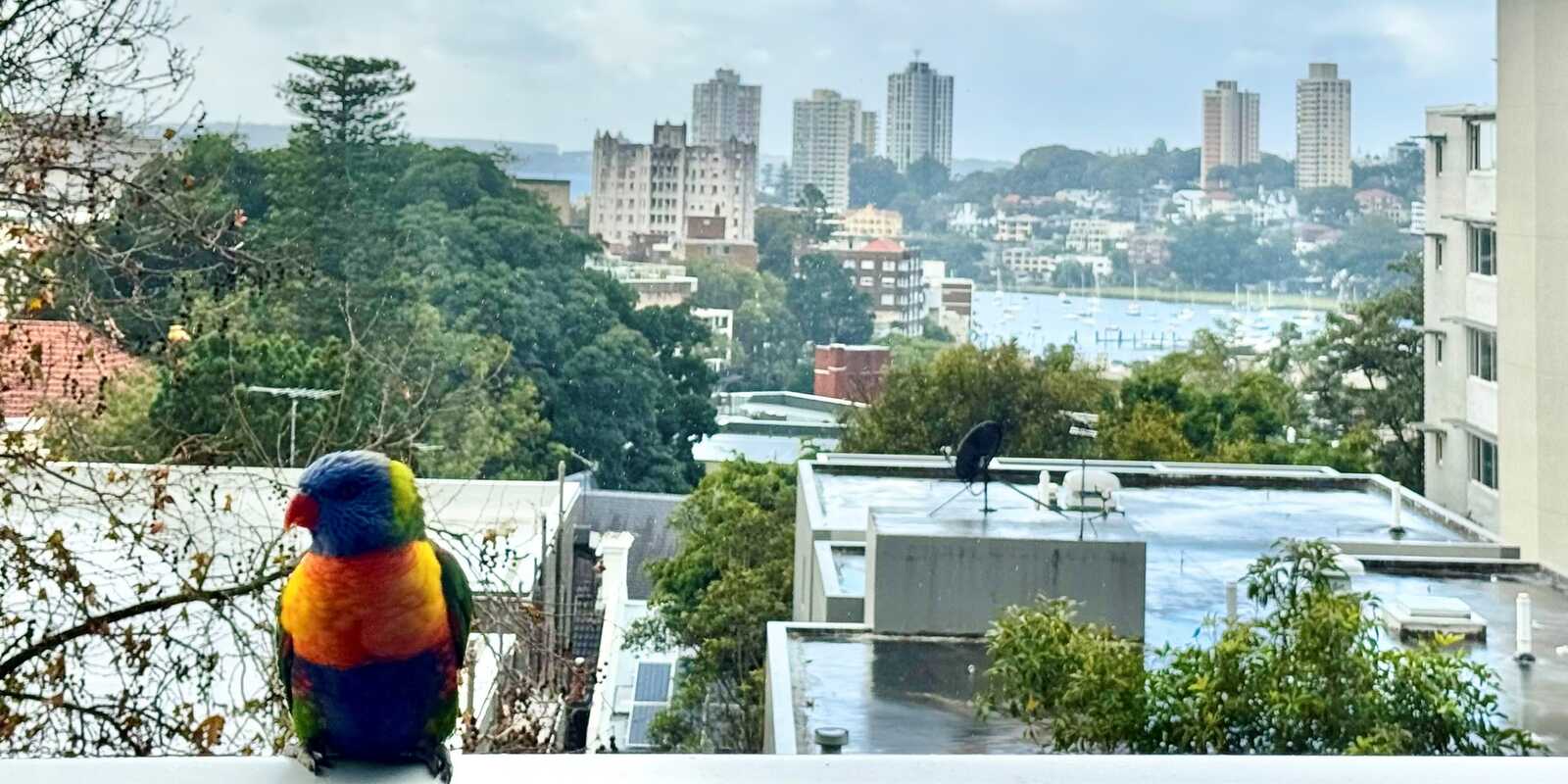26/61 Bayswater Road Rushcutters Bay 26/61 Bayswater Road Rushcutters Bay