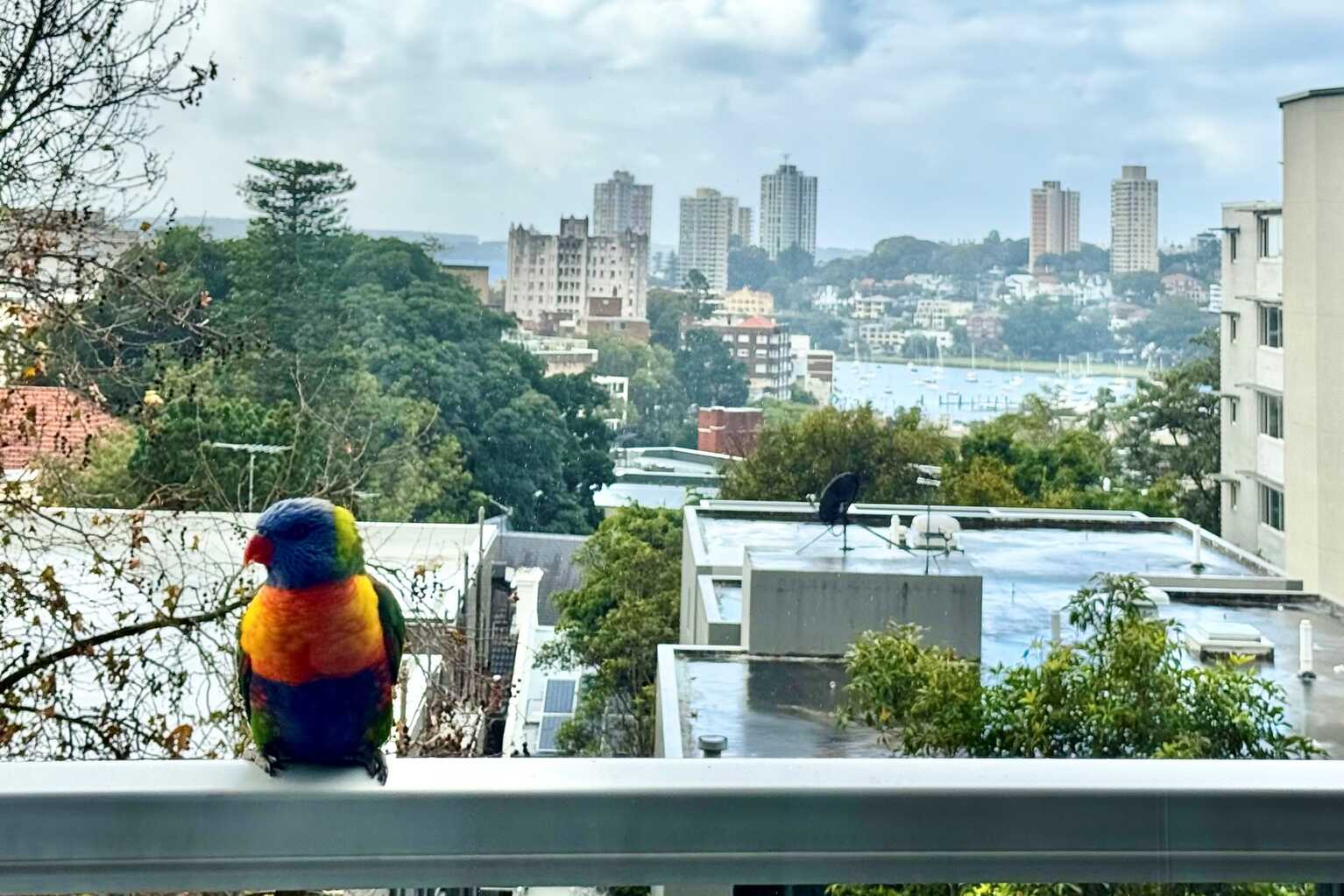 26/61 Bayswater Road Rushcutters Bay 26/61 Bayswater Road Rushcutters Bay