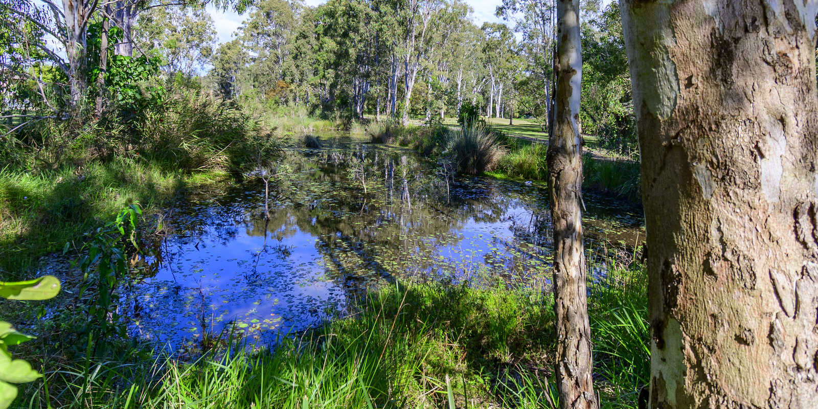 20 Beech Drive Morayfield 20 Beech Drive Morayfield