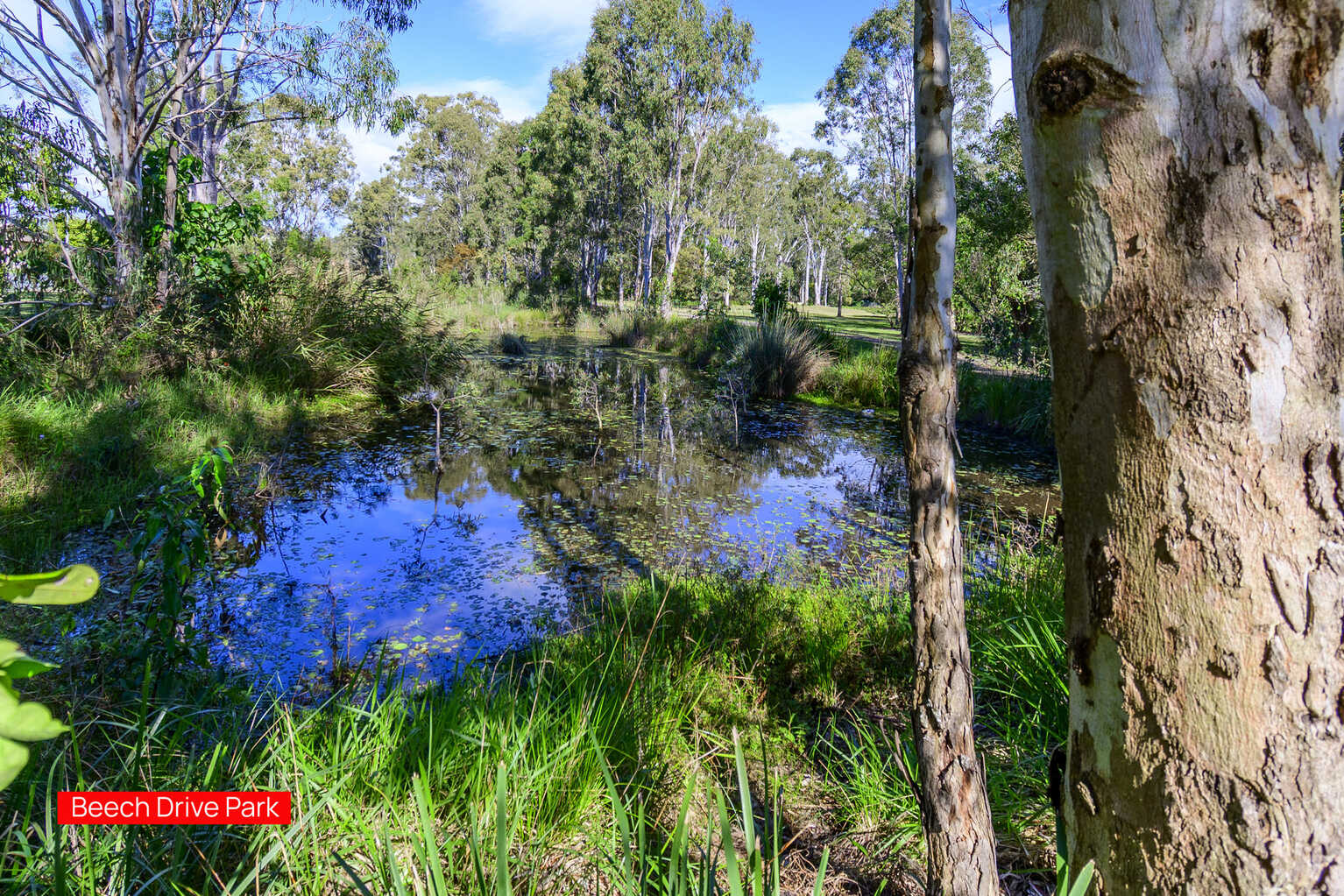 20 Beech Drive Morayfield 20 Beech Drive Morayfield