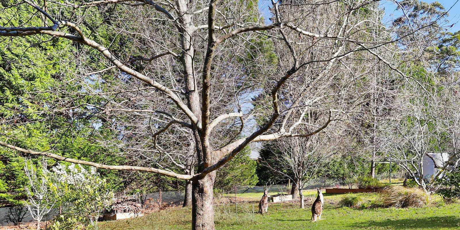 39 Garland Road Bundanoon 39 Garland Road Bundanoon