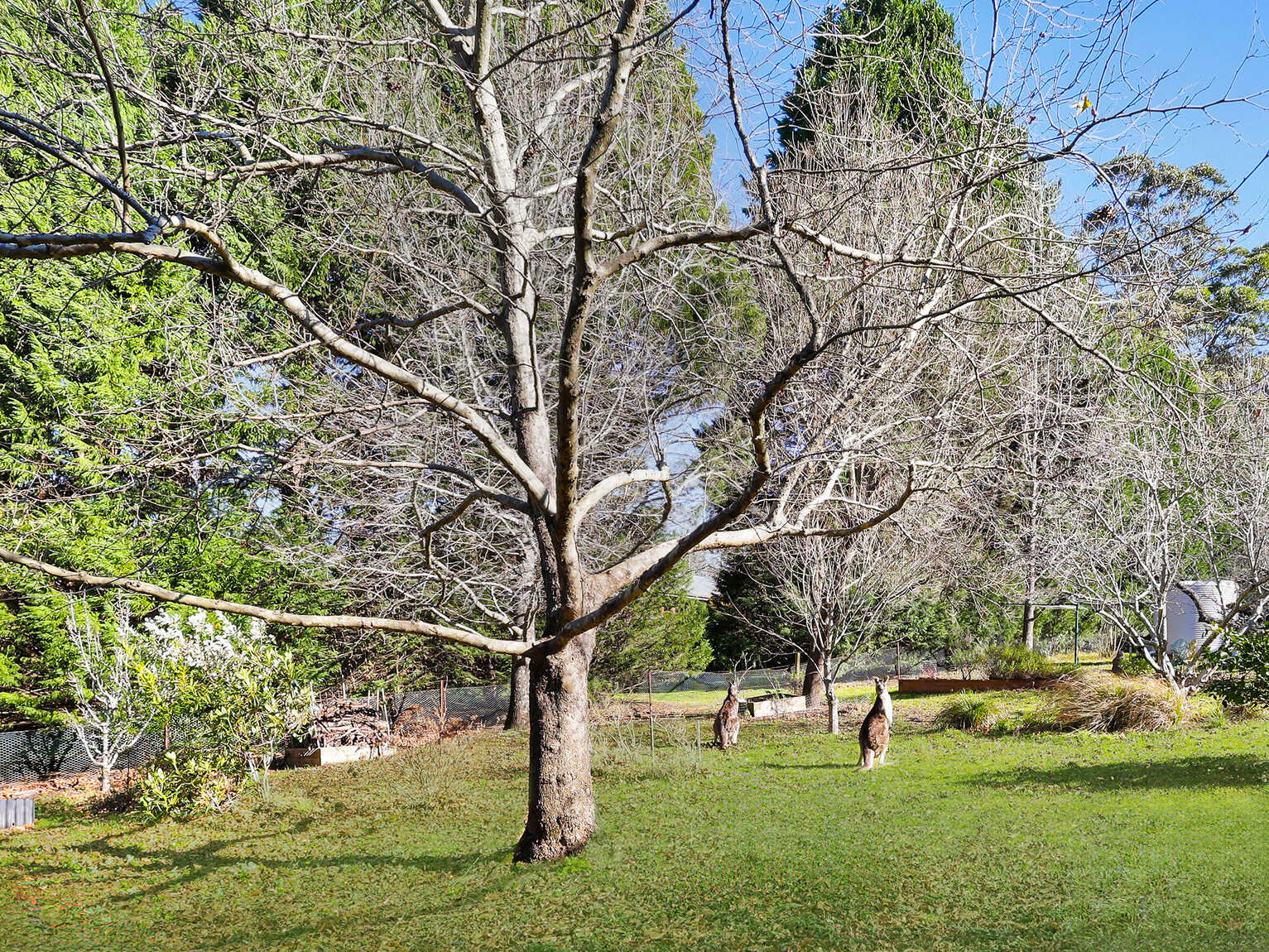 39 Garland Road Bundanoon 39 Garland Road Bundanoon