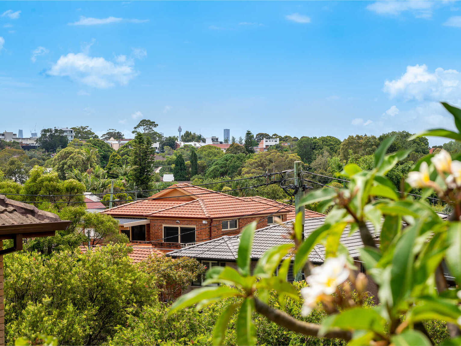 8/46 Terrace Road Dulwich Hill 8/46 Terrace Road Dulwich Hill