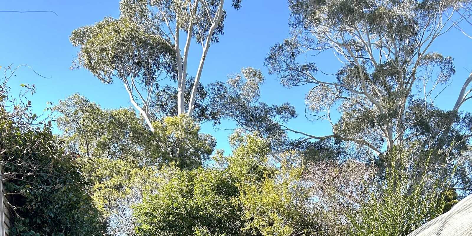6-8 Birriga Avenue Bundanoon