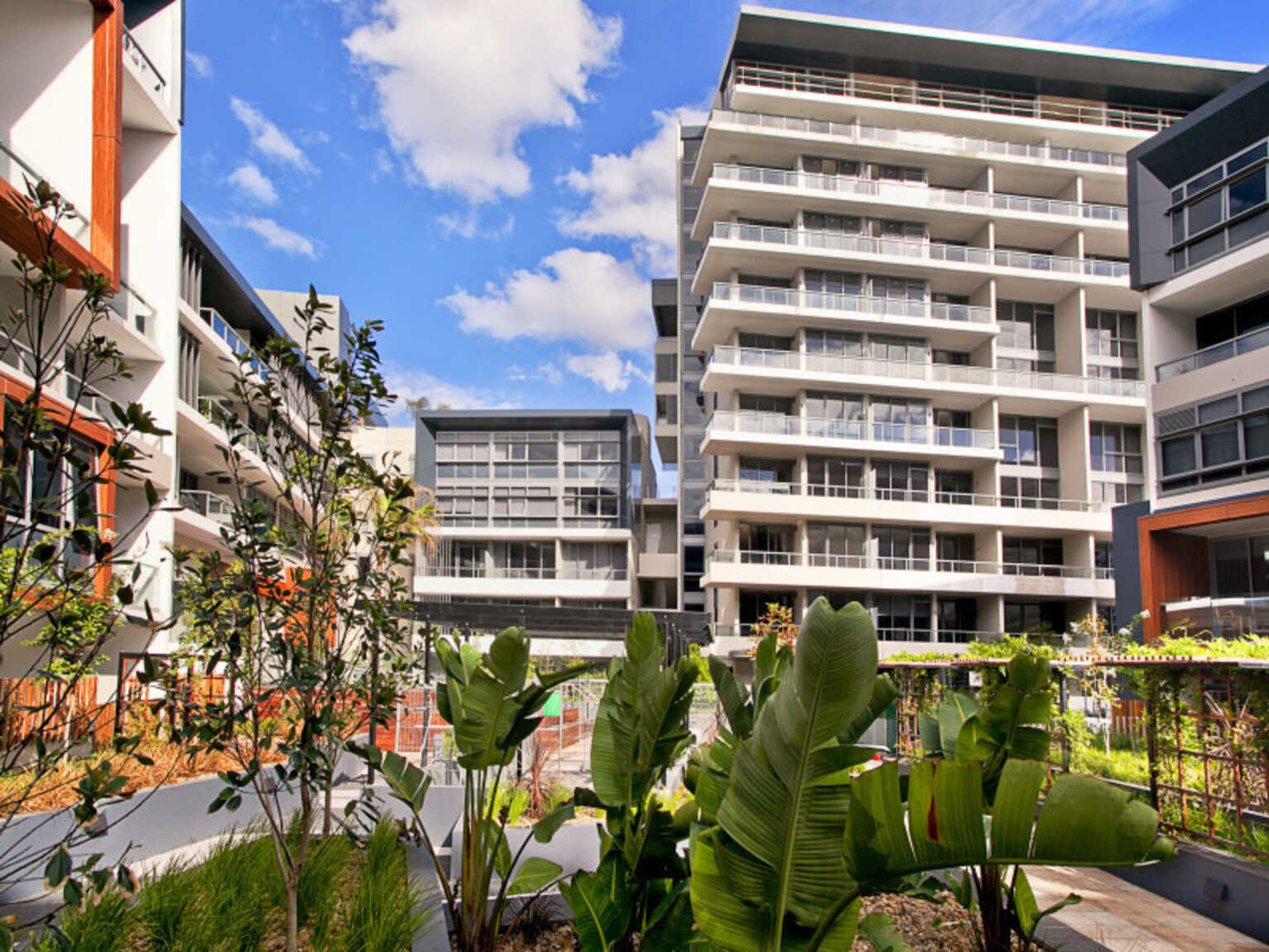 17/830 Bourke Street Waterloo