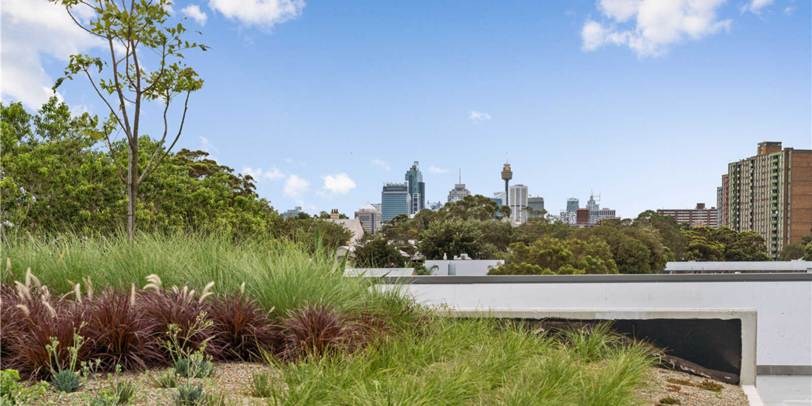 222/10-20 McEvoy Street Waterloo