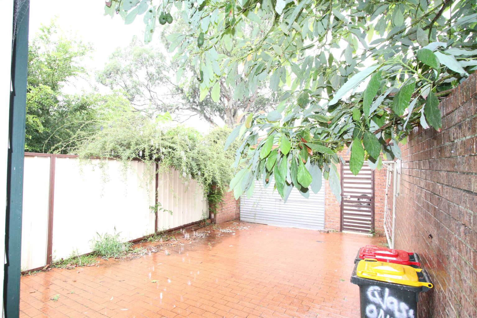 365 Cleveland Street Surry Hills