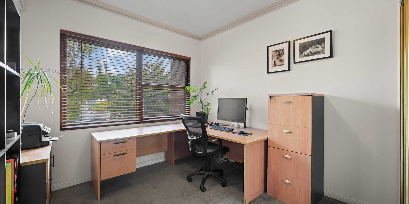 6/146 Alice Street Newtown