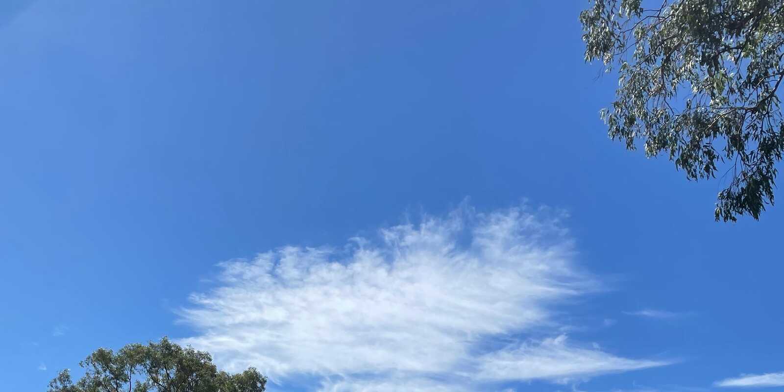 6 Sackville Street Ingleburn 6 Sackville Street Ingleburn