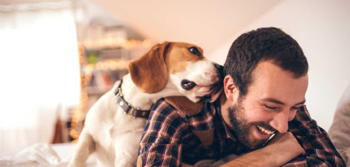 PET FRIENDLY RENTAL ETIQUETTE