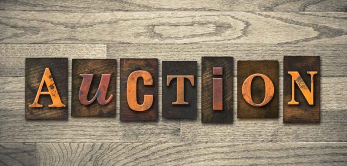 THE ULTIMATE AUCTION GUIDE THE ULTIMATE AUCTION GUIDE