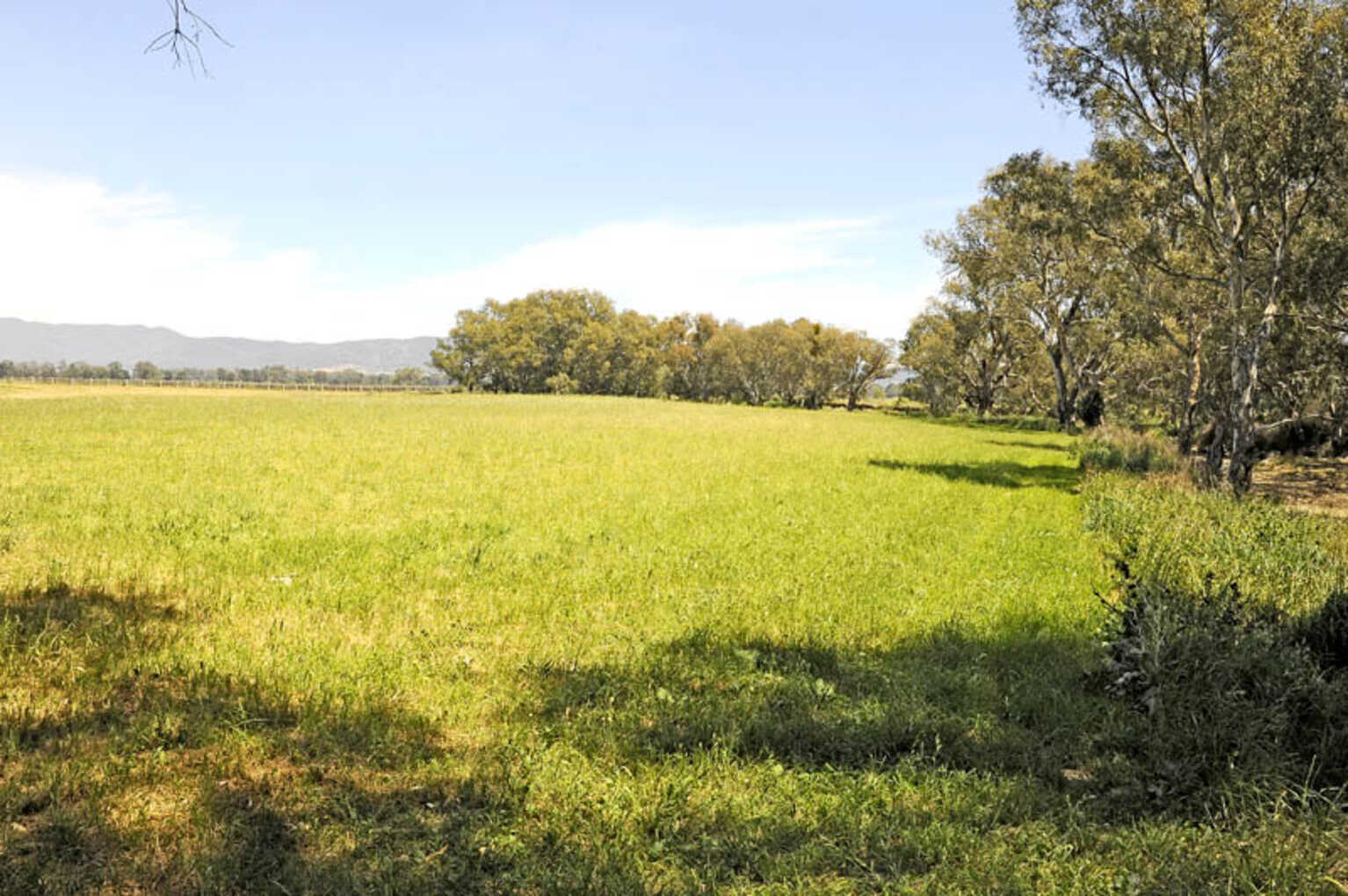 Mudgee Mudgee