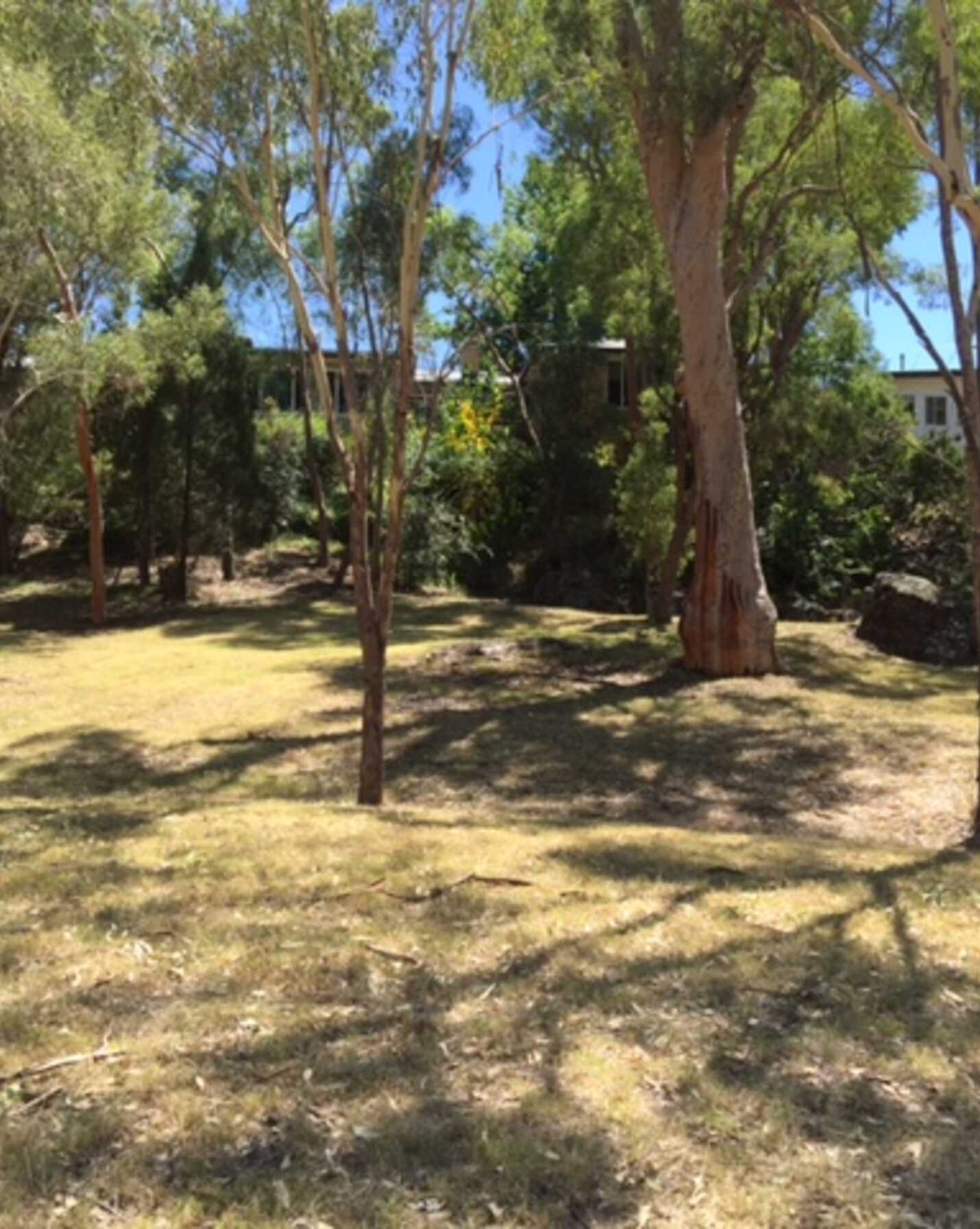 85 High Street Warialda, Warialda - Image 1