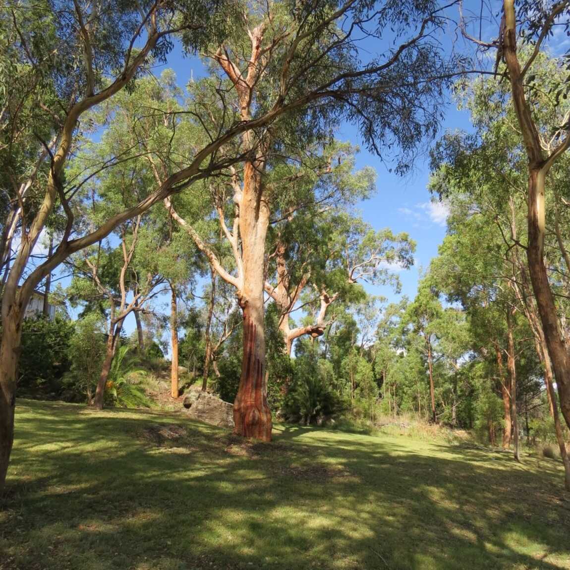 85 High Street Warialda 85 High Street Warialda