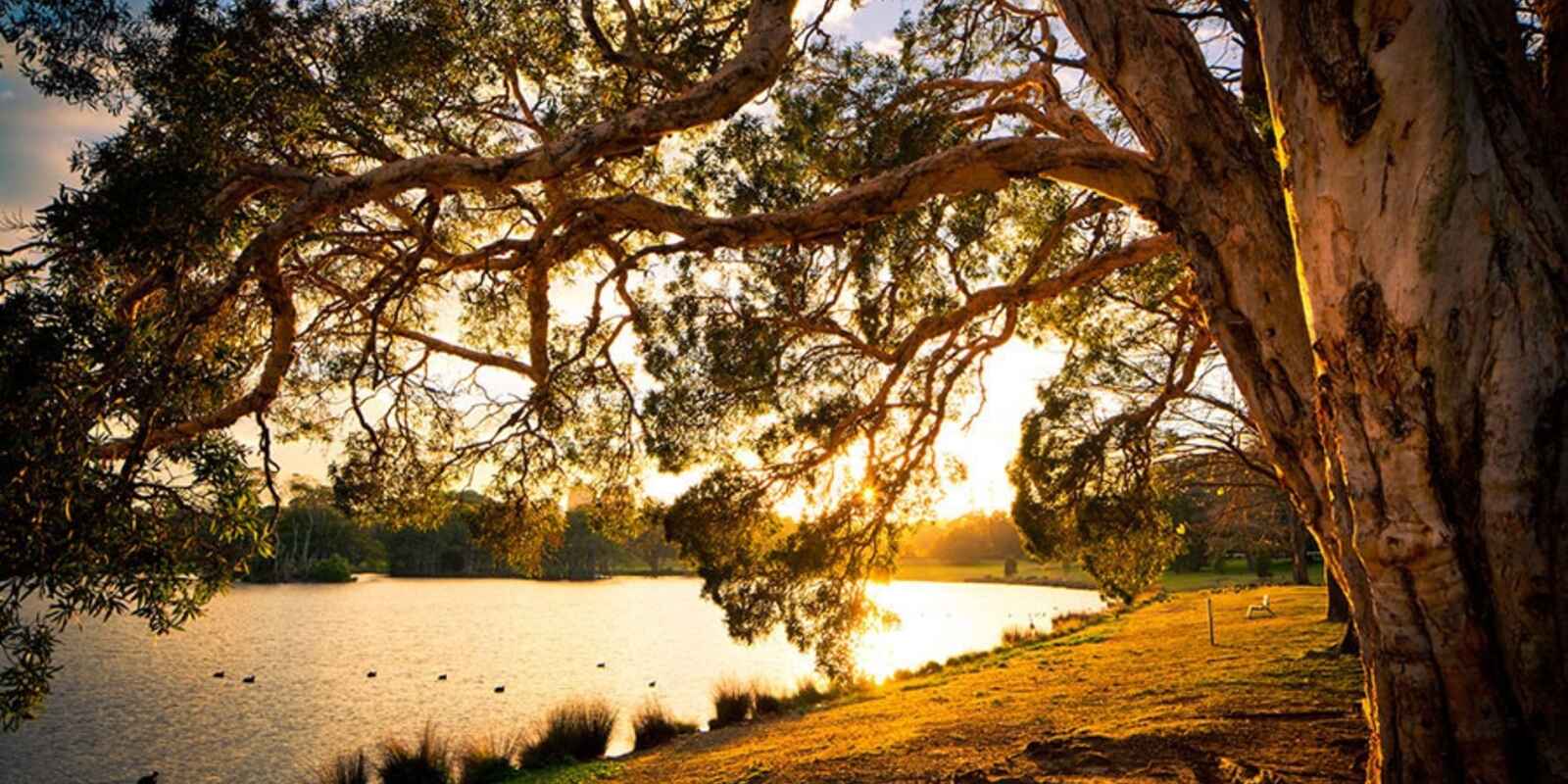 253-255 Oxford Street Bondi Junction