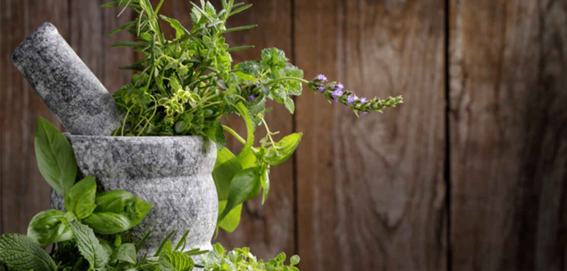 CREATE AN INDOOR HERB GARDEN