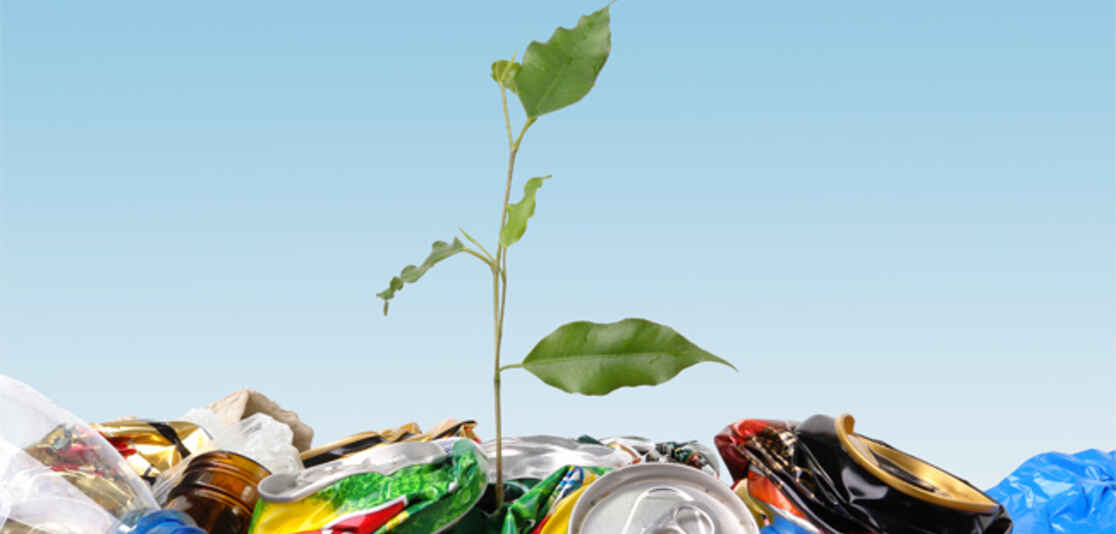 RECYCLING FOR A GREEN IMPACT