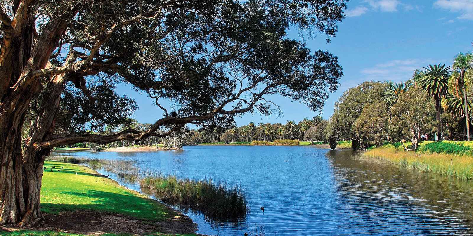 59 Oxford Street Bondi Junction