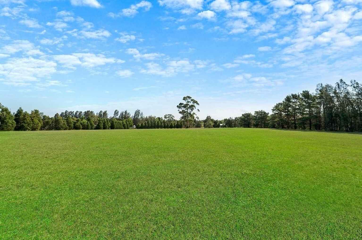 813 Windsor Road Box Hill