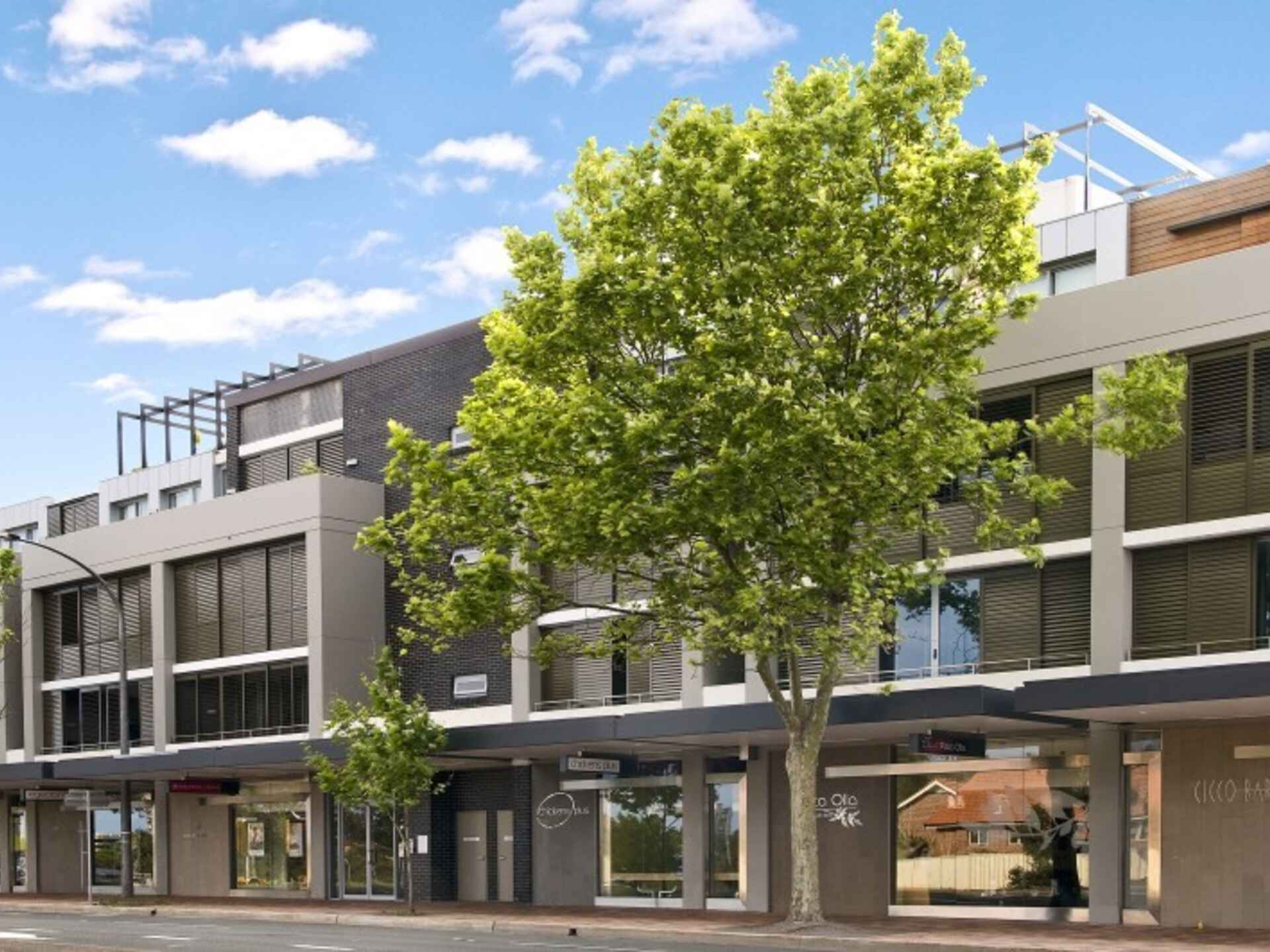 9/11 Amherst Street Cammeray