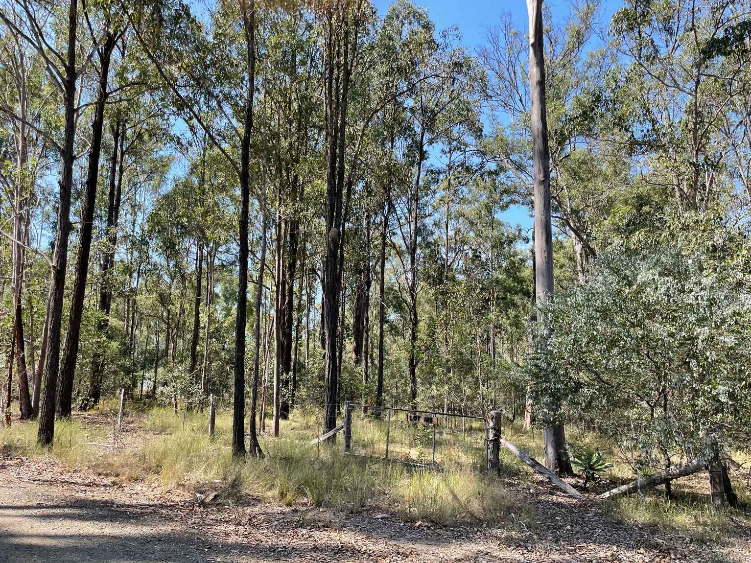 Lot 183 Arborthree Road Glenwood