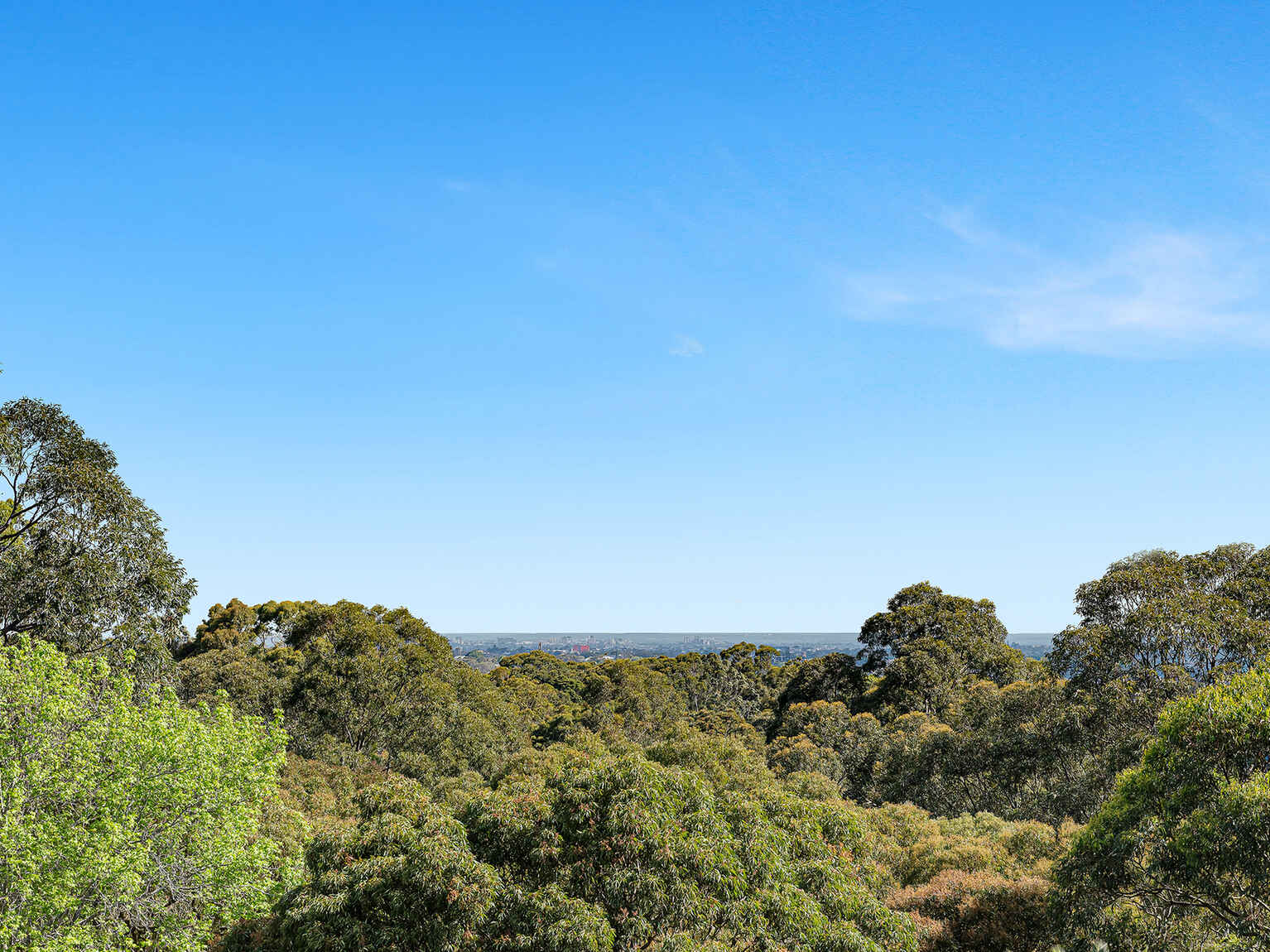 605/4 Duntroon Avenue St Leonards