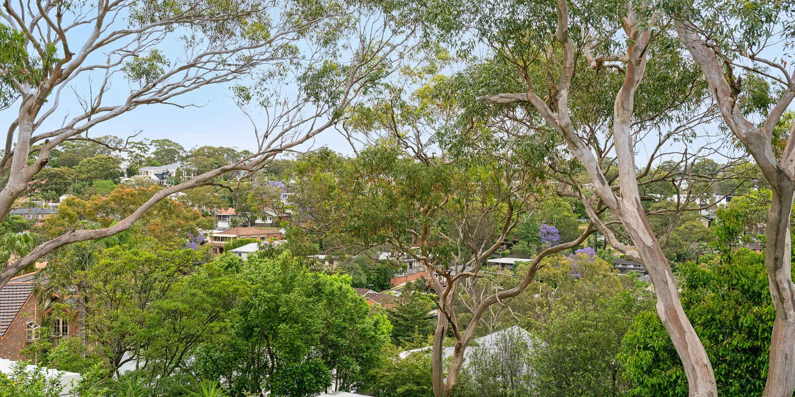 7 Calliope Road Miranda