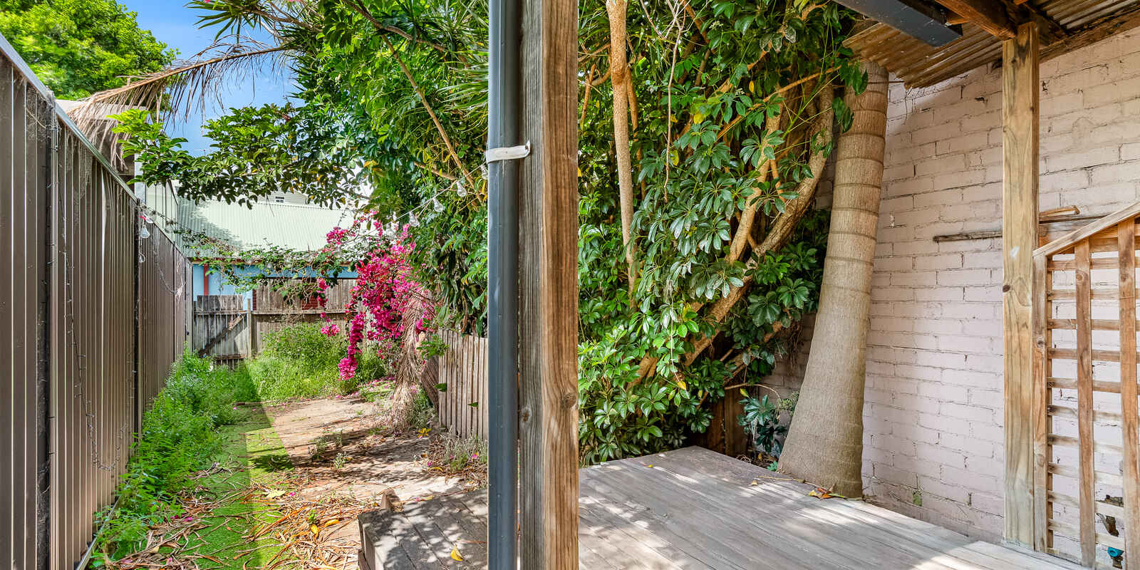 82 Gowrie Street Newtown