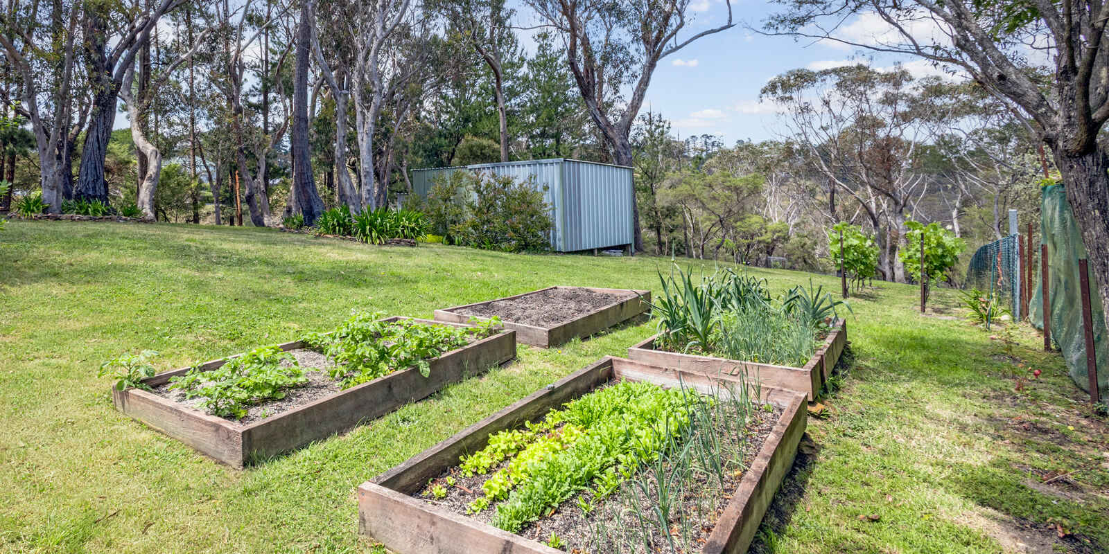 44 Ada Road Blackheath 44 Ada Road Blackheath