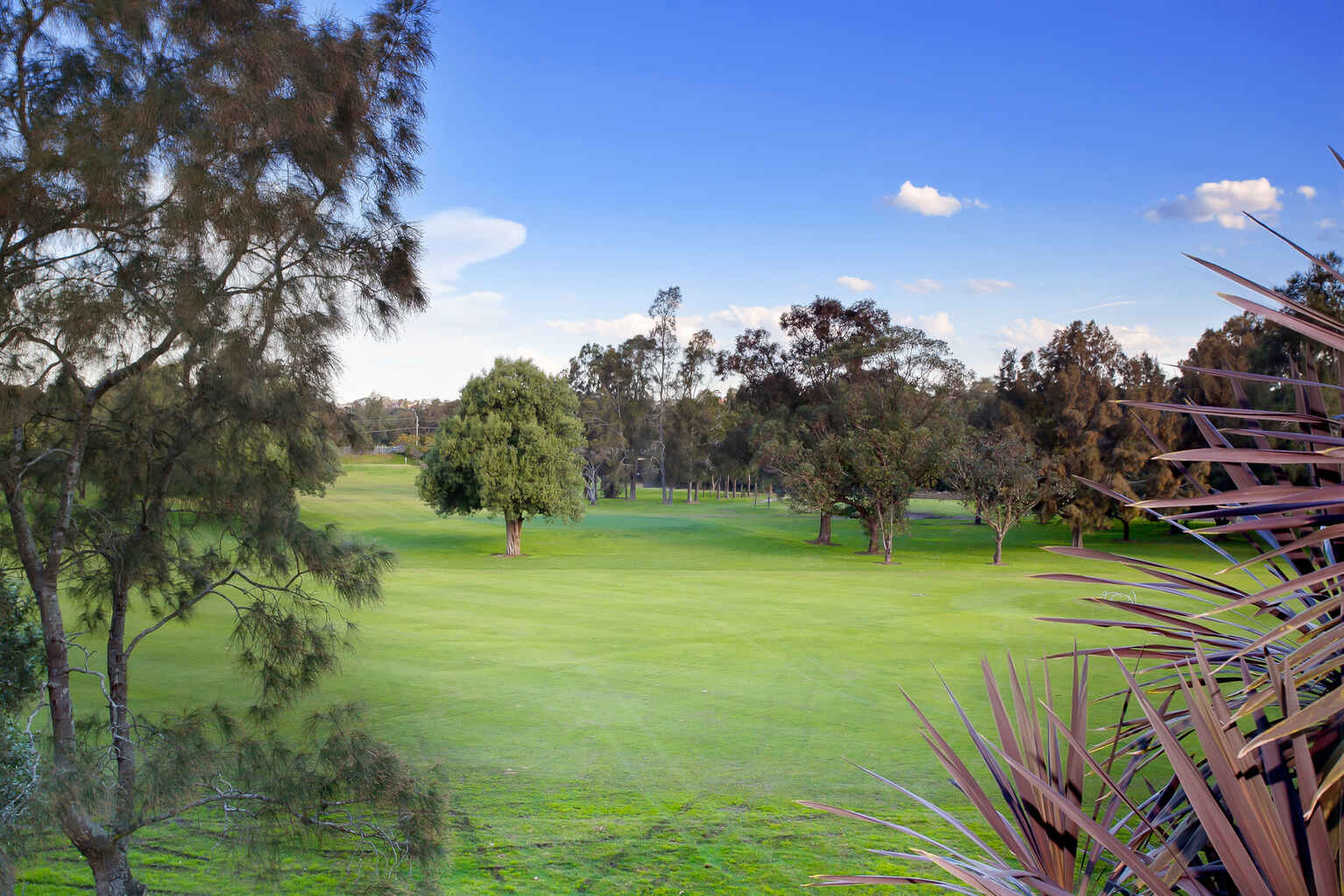 7/48 Duntroon Street Hurlstone Park