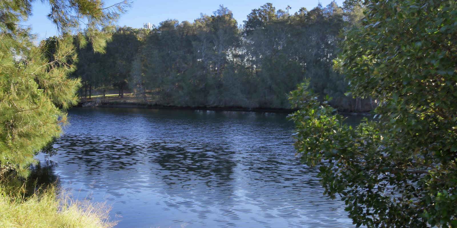 7/48 Duntroon Street Hurlstone Park