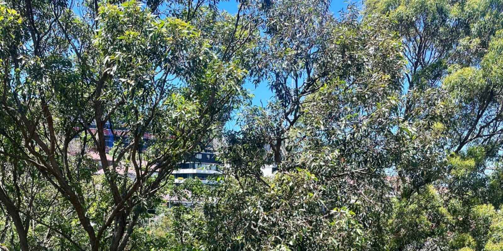 21/59 Lower Bent Street Neutral Bay