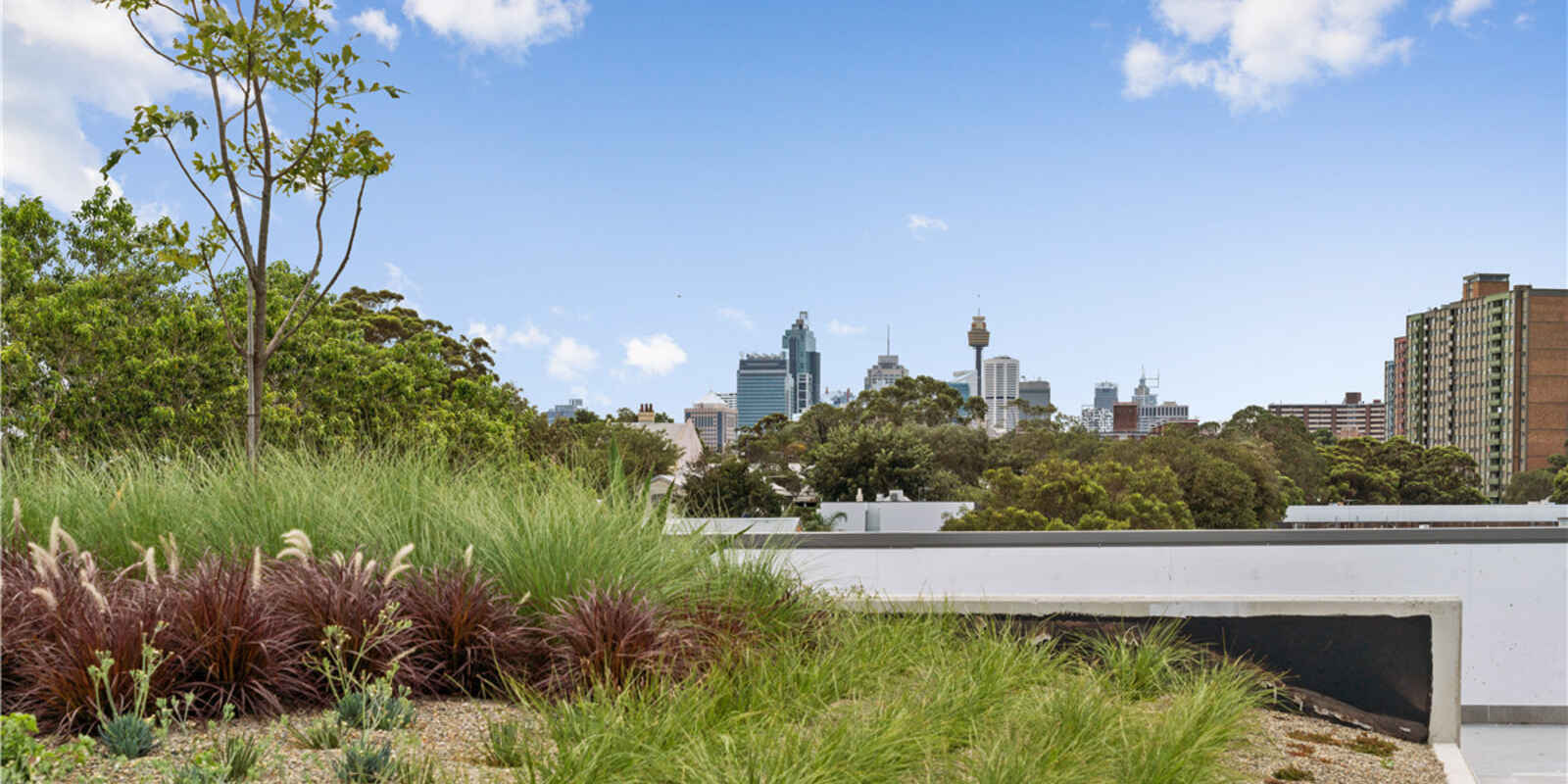 217/10-20 McEvoy Street Waterloo