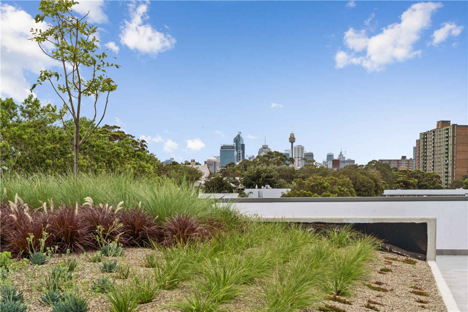 217/10-20 McEvoy Street Waterloo